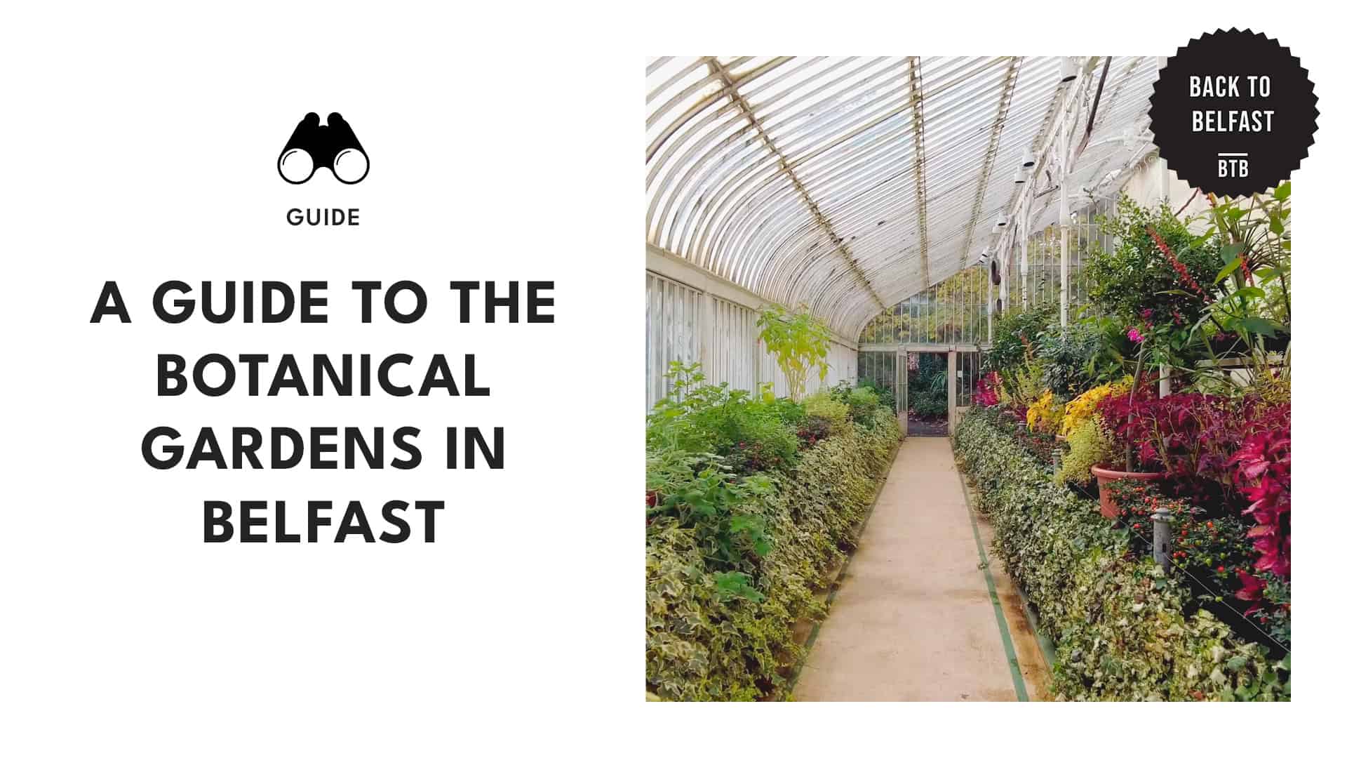 botanical-gardens-in-belfast