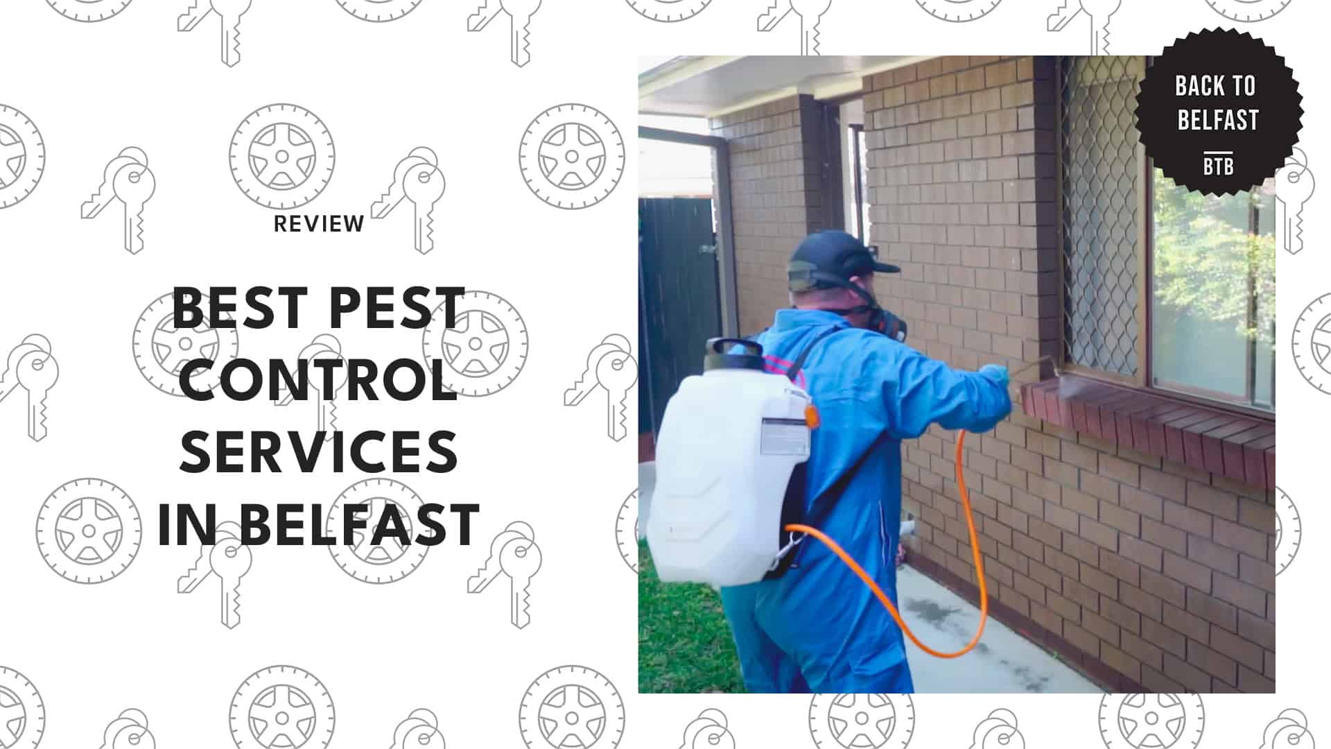 pest-control-services-in-belfast
