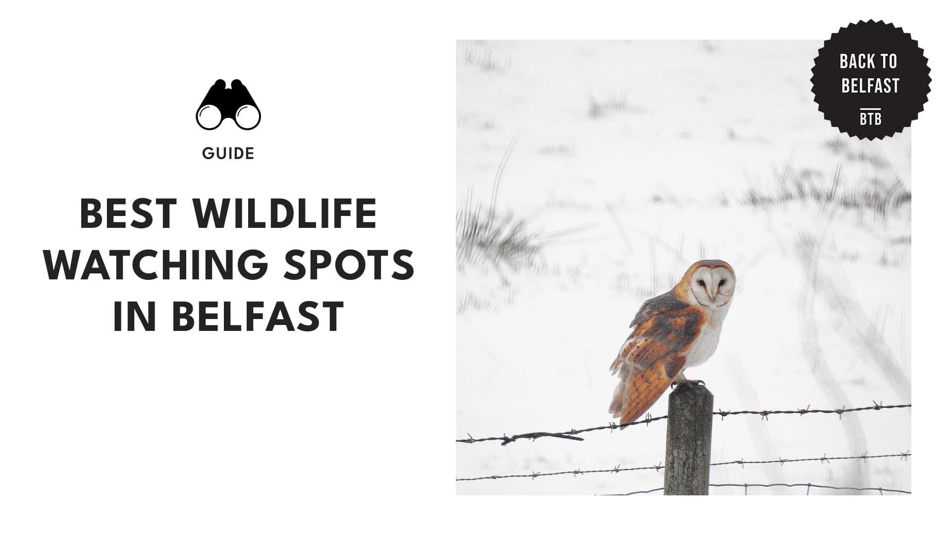 spots-for-wildlife-watching