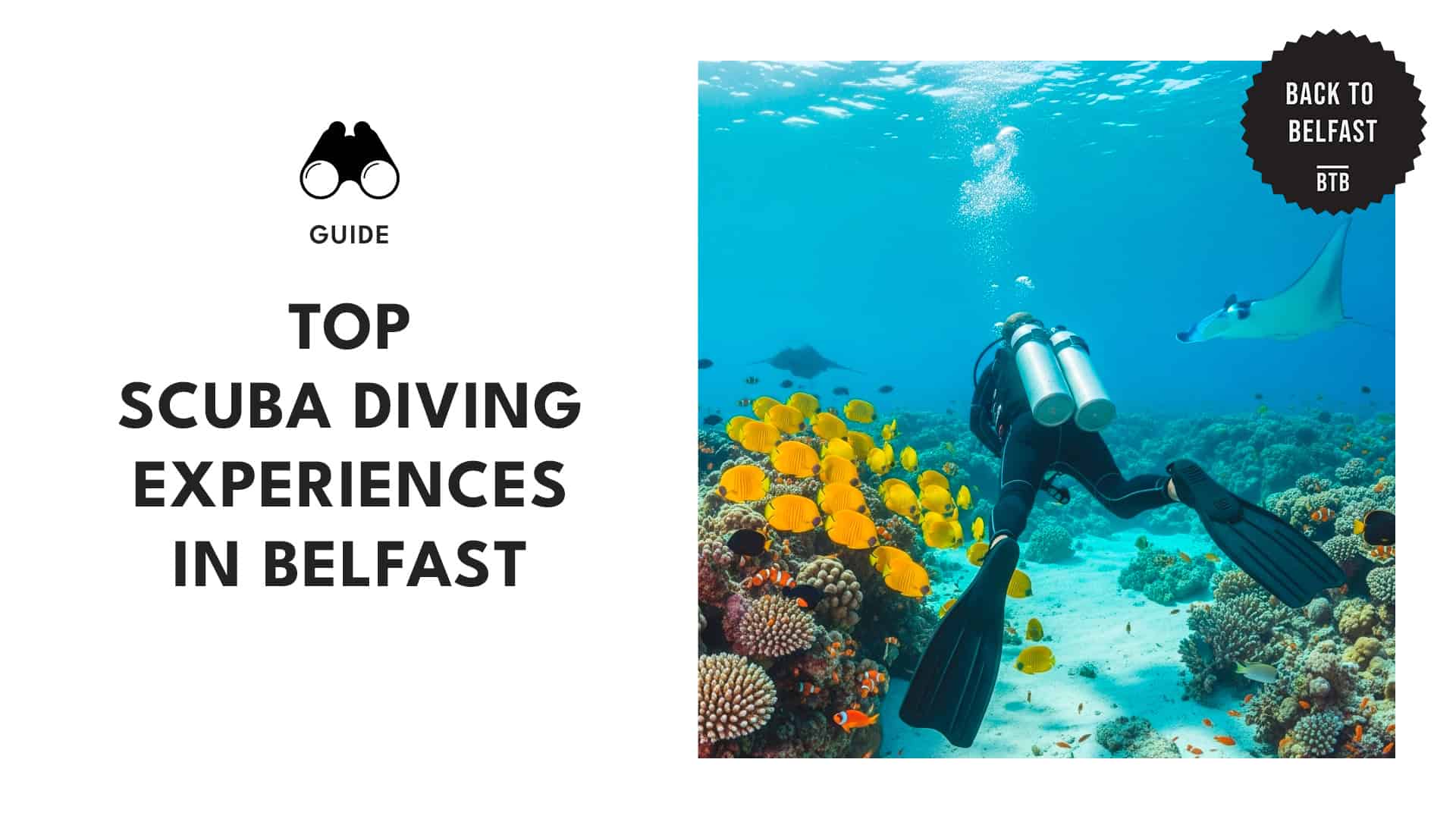 scuba-diving-clubs-in-belfast