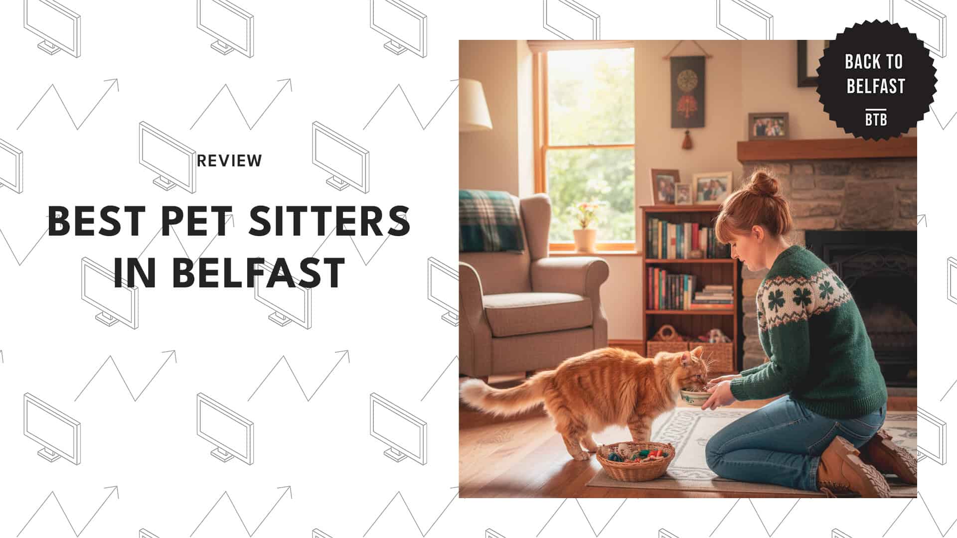 pet-sitters-in-belfast
