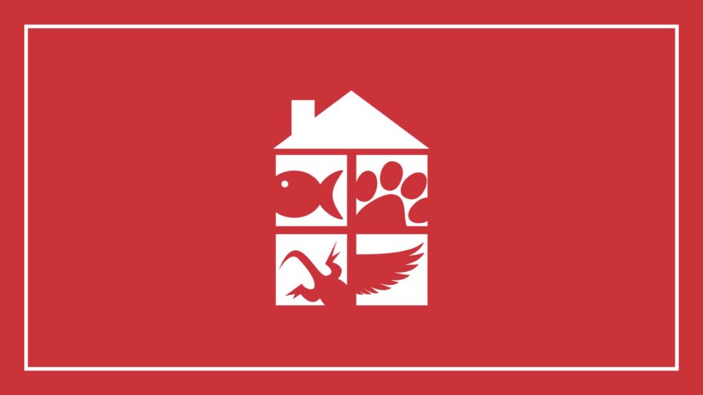 we-love-pets-belfast