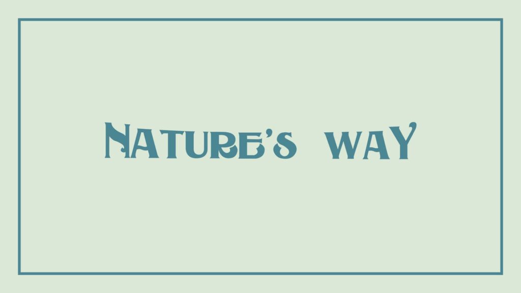 nature-s-way