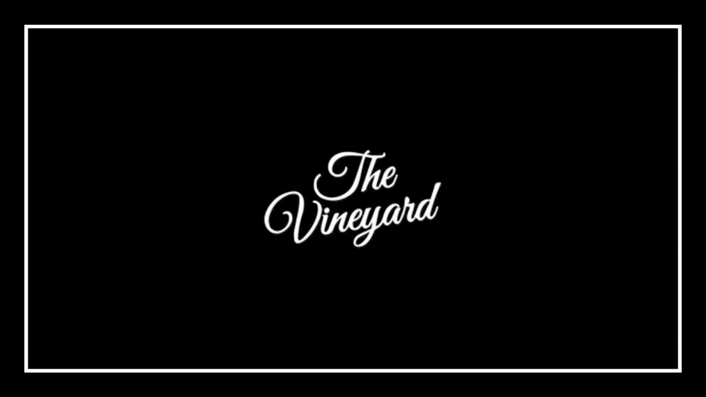 the-vineyard